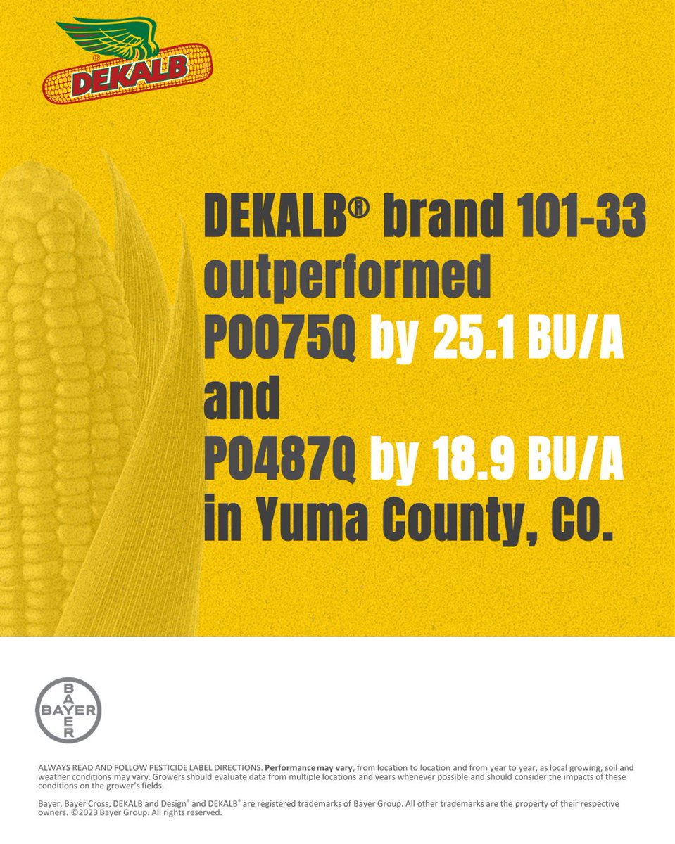 DKAS_HP's tweet image. Huge win for 101-33 SSPro vs P0075Q and P0487Q, two side x sides in same field north of Yuma, CO. No hail, good water and management. 

@PostovitBruce @AmeliaCoyle1 @Asgrow_DEKALB 
#Bayer4CO #harvest23 #Sspro #farming #agriculture #SeedsOfSuccess
