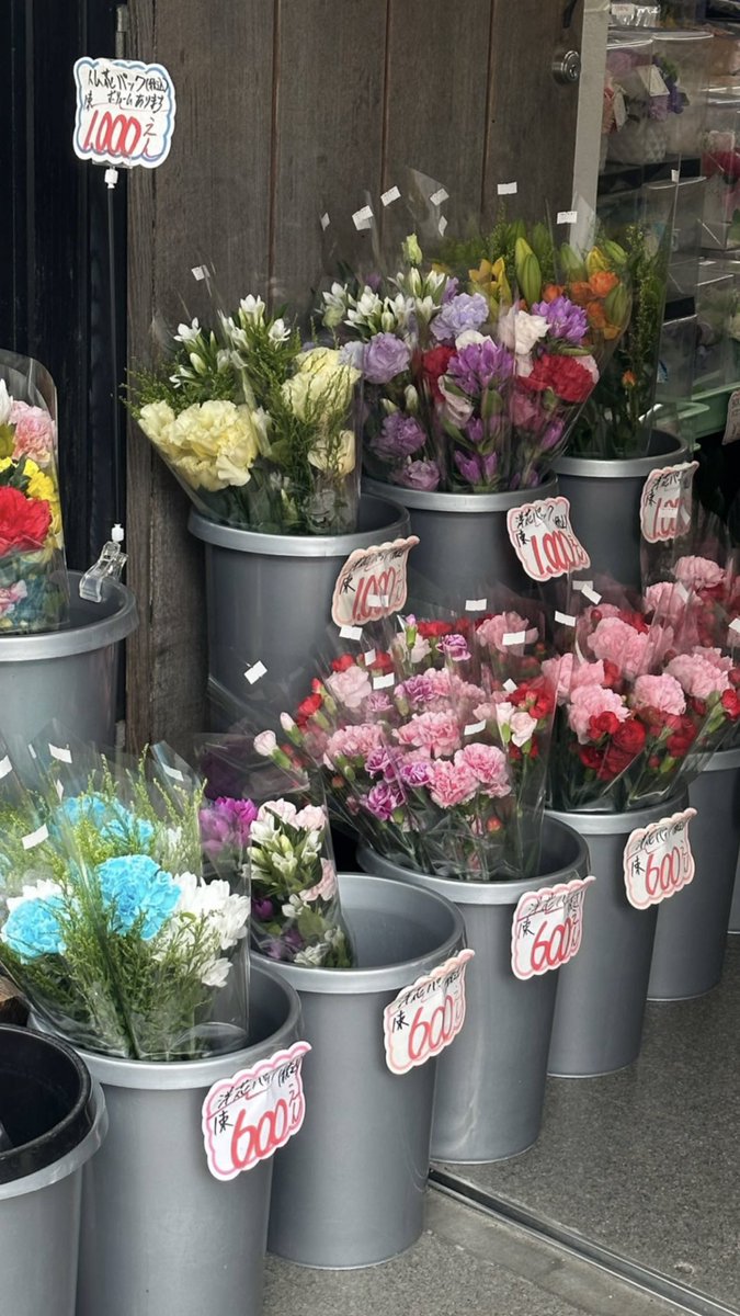 FREEN SAROCHA BR tweet media