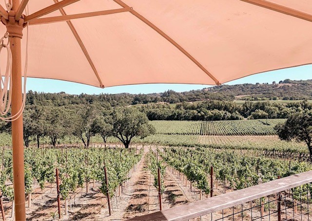 Dave Razzari tweet media