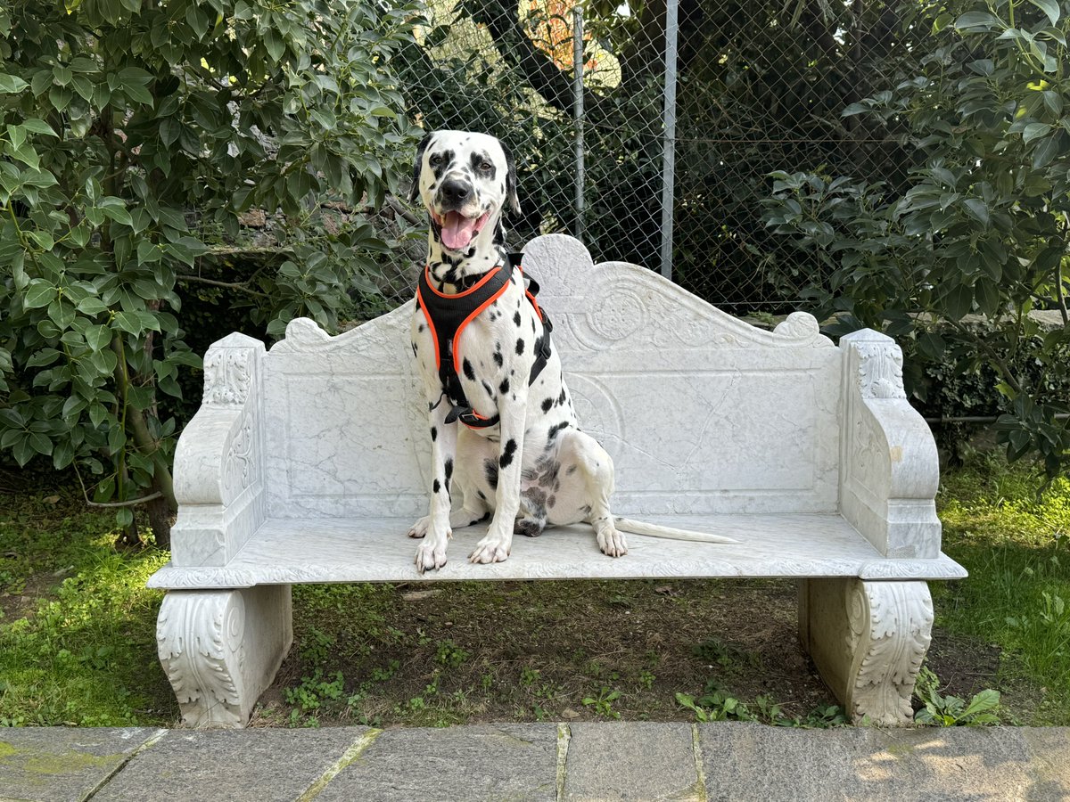 Heiterweiter66's tweet photo. Gehen wir zu den angenehmen Dingen - heute war:
- Vasco auf dem See https://t.co/XPC527Mpl2
- Besuch Parco Scherrer #parcoscherrer
Es war endlich mal „Abschalten vom Alltag“ 🍀🐕♥️☀️ https://t.co/0uqJAI3zVj
