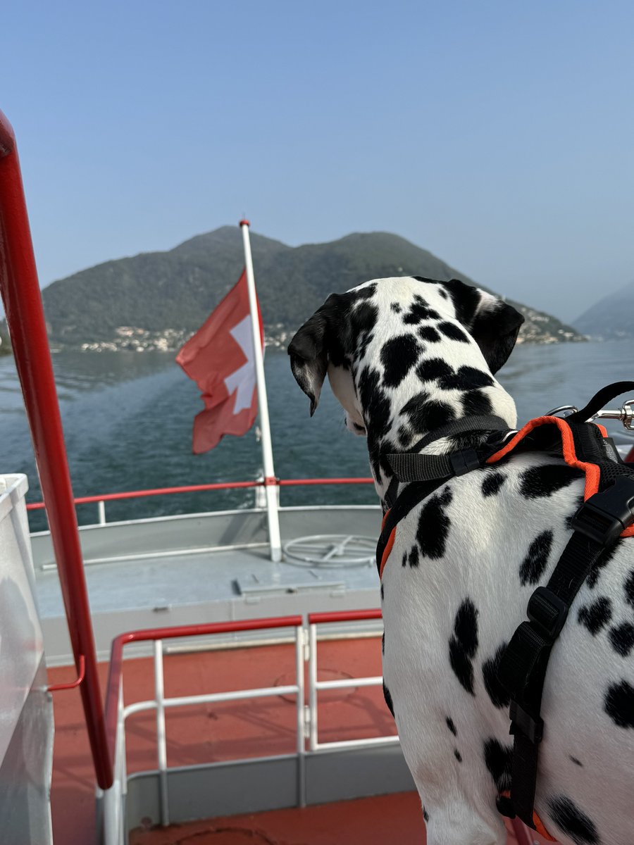 Heiterweiter66's tweet photo. Gehen wir zu den angenehmen Dingen - heute war:
- Vasco auf dem See https://t.co/XPC527Mpl2
- Besuch Parco Scherrer #parcoscherrer
Es war endlich mal „Abschalten vom Alltag“ 🍀🐕♥️☀️ https://t.co/0uqJAI3zVj