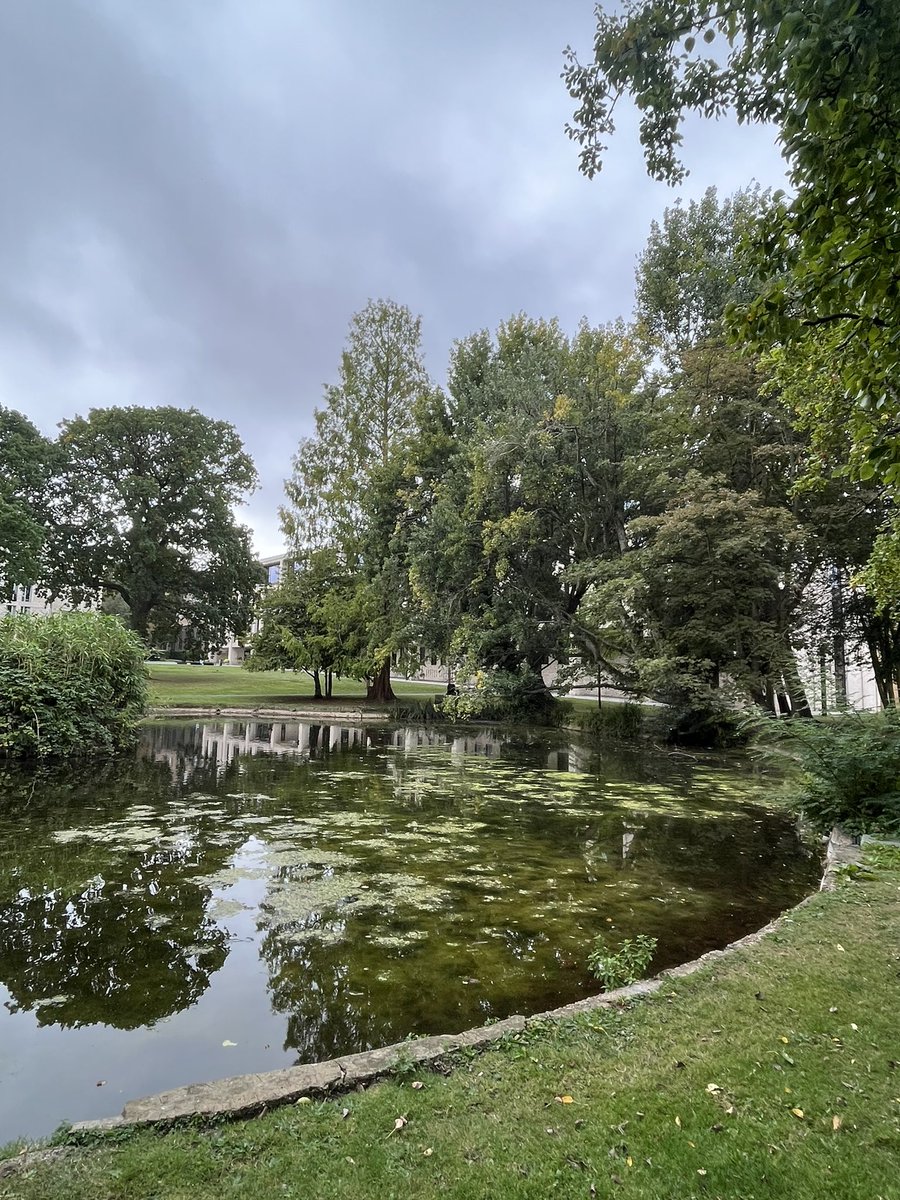 Sutharee Wannasiri tweet media