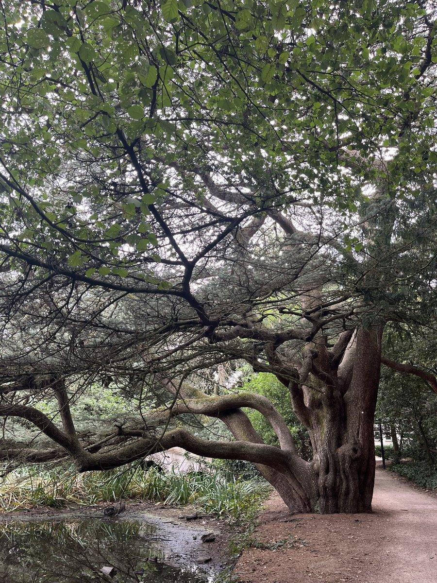 Sutharee Wannasiri tweet media