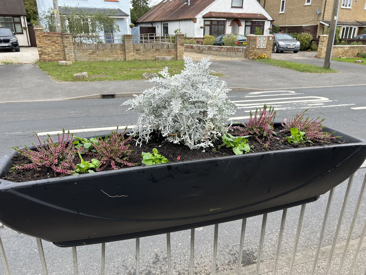 AVCrabtree's tweet image. 🌸 A bit windy but rain held off in #Iver today where I helped Luisa Sullivan &amp;amp; Julie Cook with the planters outside Iver Heath Infant School &amp;amp; listened to concerns about local greenbelt issues. 🌸