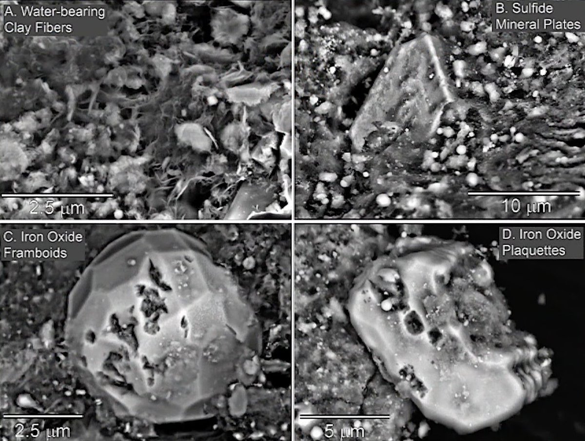astrobiology's tweet image. According to the #NASA briefing: &quot;This stuff is an astrobiologist&apos;s dream!&quot;

The #OSIRISREx #Bennu #Asteroid Sample Contains Carbon And Water
astrobiology.com/2023/10/the-os…  #Astrobiology #Astrochemistry