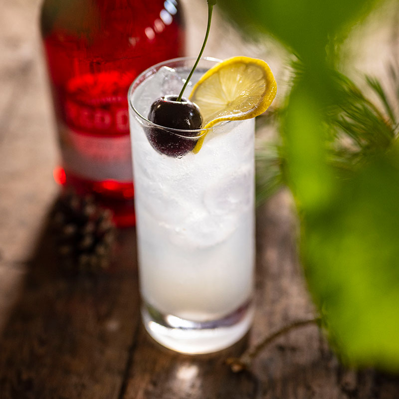 Discover the art of our Red Door Tom Collins: bit.ly/3PHNpiE. A classic signature serve combining Red Door Gin with Autumn Botanicals, lemon juice, sugar syrup, soda water, and plenty of ice! 

#RedDoorGin #GinCocktail #RedDoorTomCollins