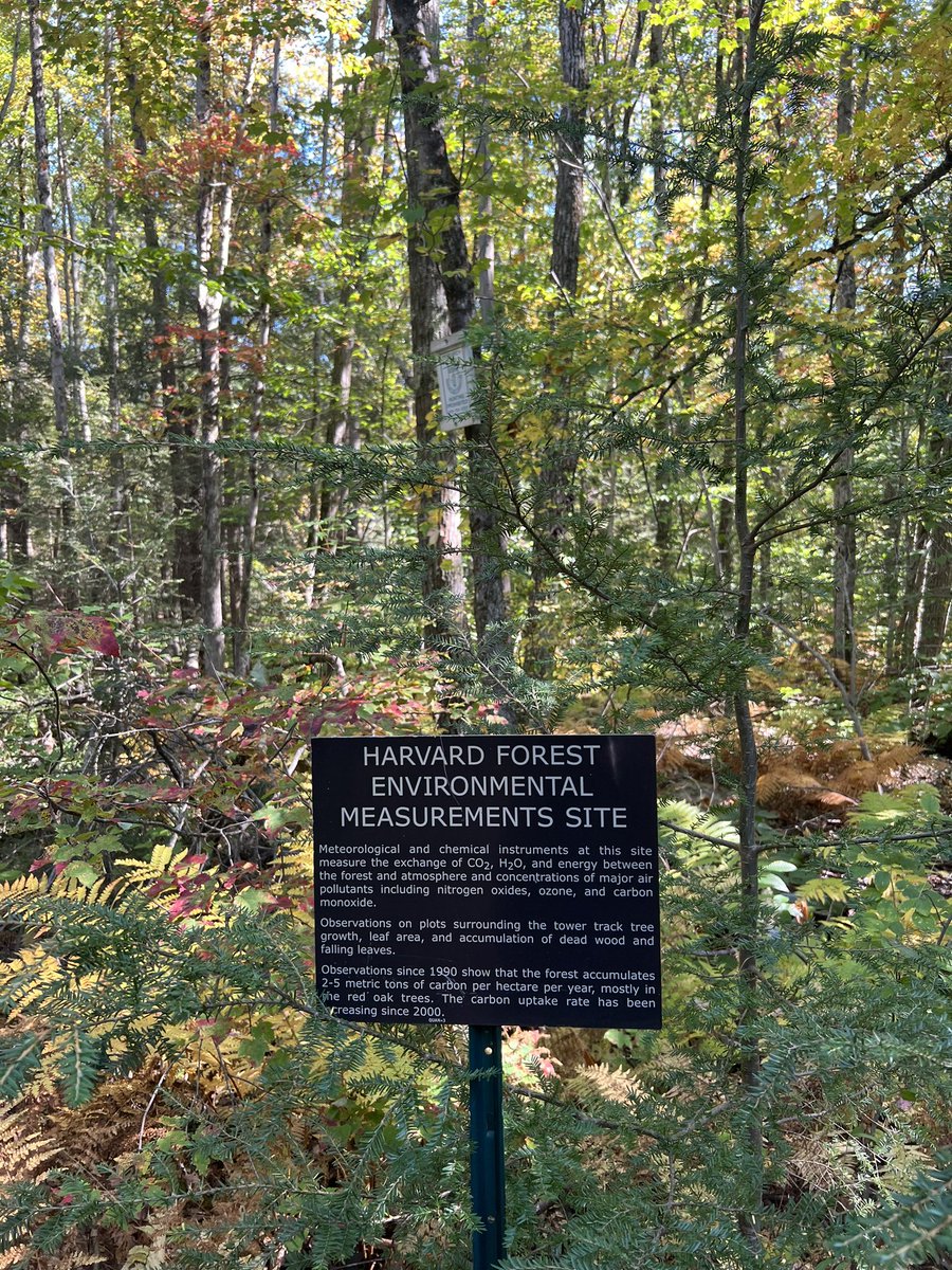 __Benju's tweet photo. Ameriflux meeting 2023: Got a chance to visit historic harvard forest. Introduced our new site in Texas as my poster. https://t.co/qCQ6d9go9E