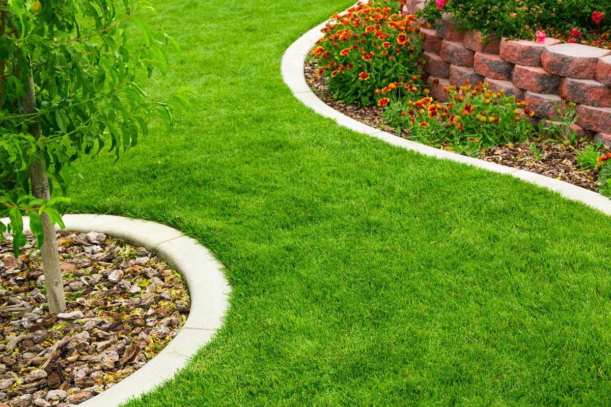 BoschLandscape's tweet image. Personalized Landscapes: Your style, our expertise. Bosch’s Landscaping tailors yards to your desires, from plants to pathways. #PersonalizedDesign #TransformYourSpace
bit.ly/422APjp