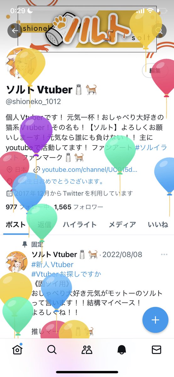 汐猫ソルト@vtuber🧂🐈 tweet media