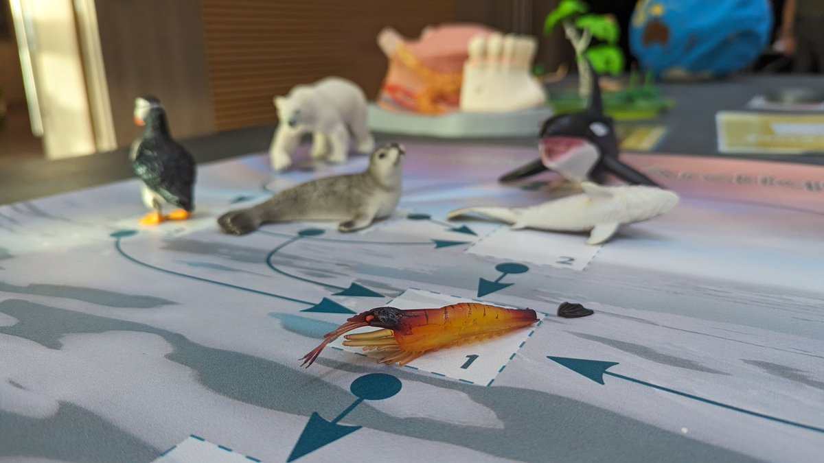 C'est la Fête de la Science à Palaiseau. 🥳🦐🦖 <a href="/Scube_CST/">S[cube]</a> a sorti son exposition « Chroniques de l'Évolution » que j'anime à <a href="/Palaiseau91/">Ville de Palaiseau</a>. 

Au programme : loterie génétique pour créer le bébé de Monsieur et Madame Patate, écosystème arctique...