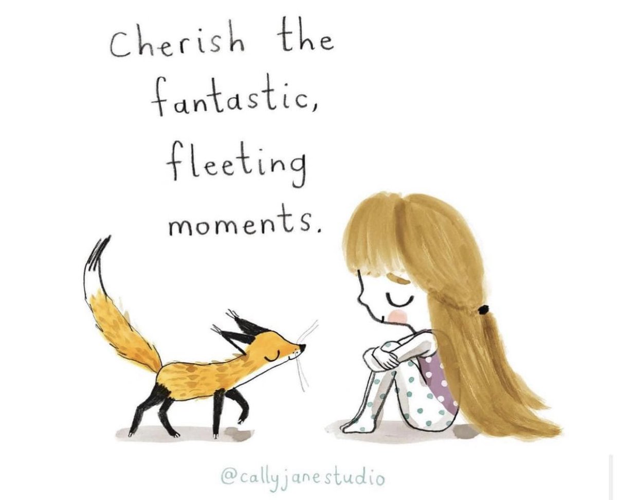 Life is a myriad of moments. Remember to cherish the fantastic simple ones. Mine is snuggling with my pups under a warm blanket. What are yours? #gratitude #mentalhealth