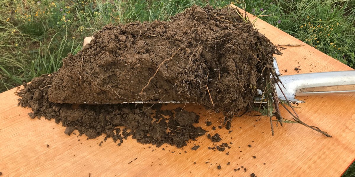 agroscope's tweet photo. Will we in 🇨🇭 be reaching for the spade once again to assess #soil structure? Three widely used and newly revised approaches that optimally complement each other are available to practitioners, trainers and educators. 👉https://t.co/FKfiSIZzSG https://t.co/uPKlKH9RYr