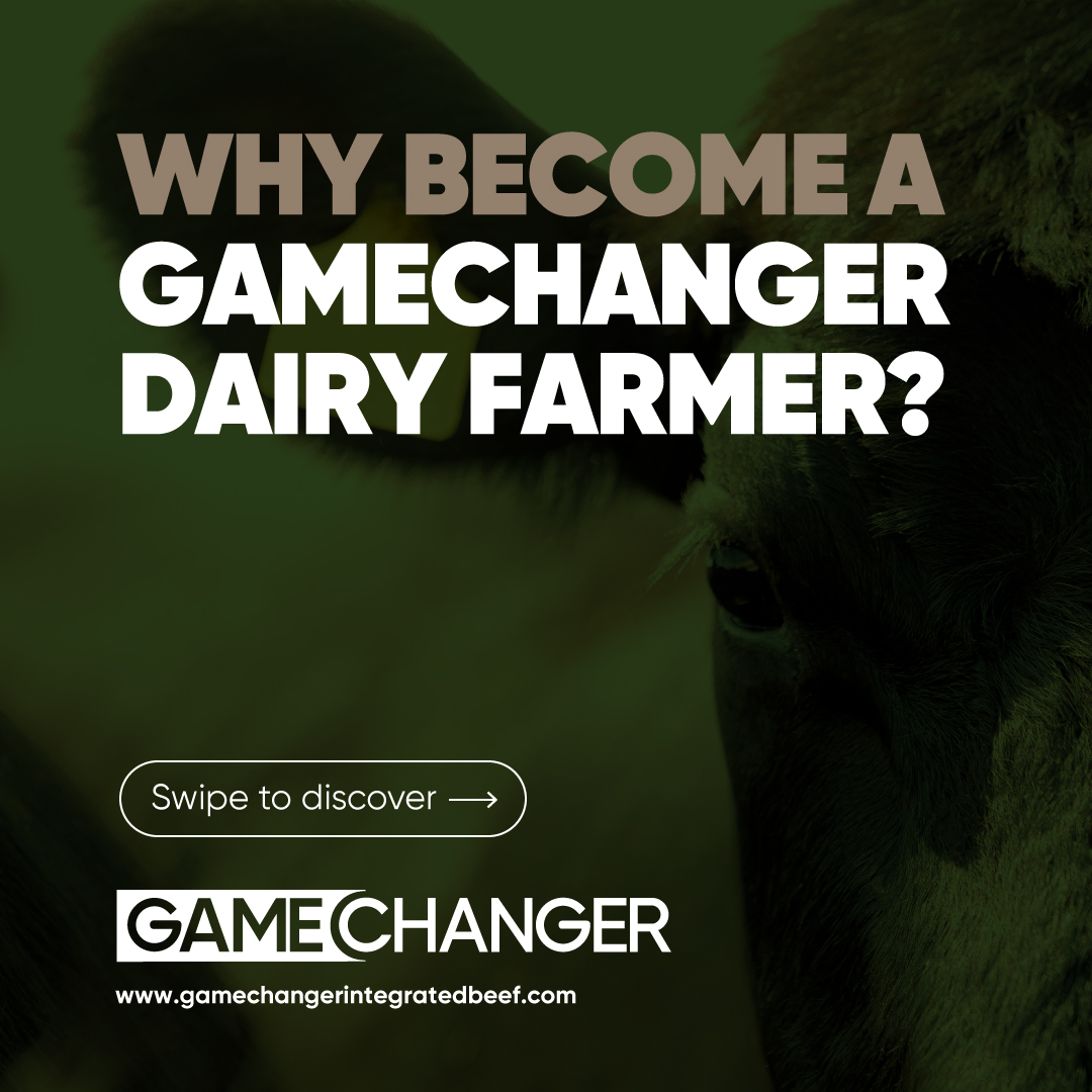 GamechangerFarming tweet media