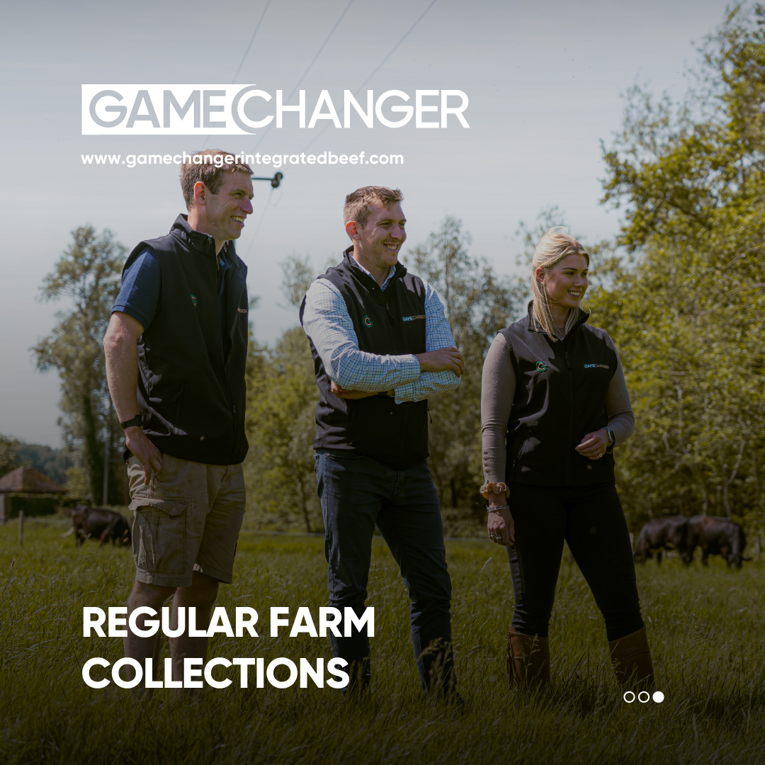 GamechangerFarming tweet media