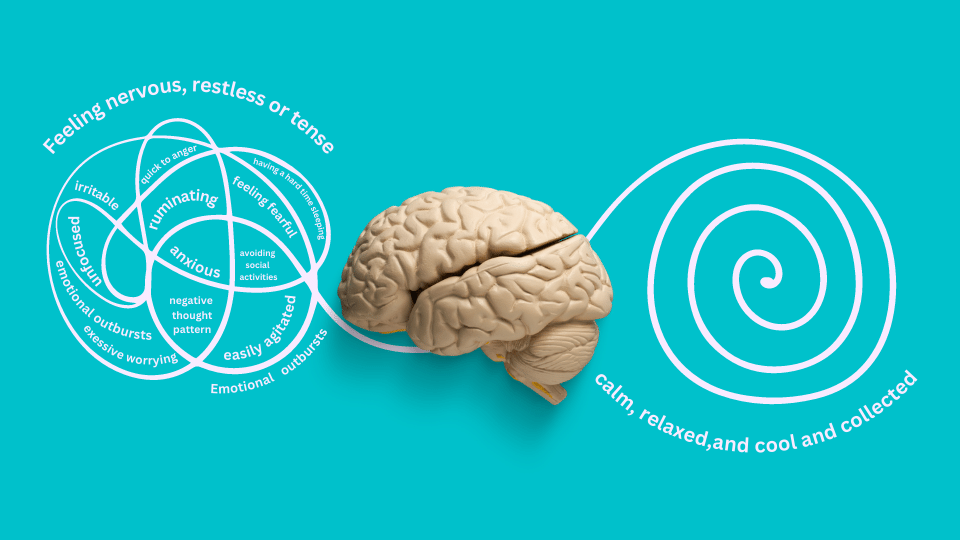 NeurofeedbackNY's tweet image. Neurofeedback is an effective tool for dealing with performance anxiety and fear.  Learn how #neurOptimal #neurofeedback can help overcome stage fright and lead to calmer, happier thoughts. blog.neurofeedbacktraining.com/performance-an…