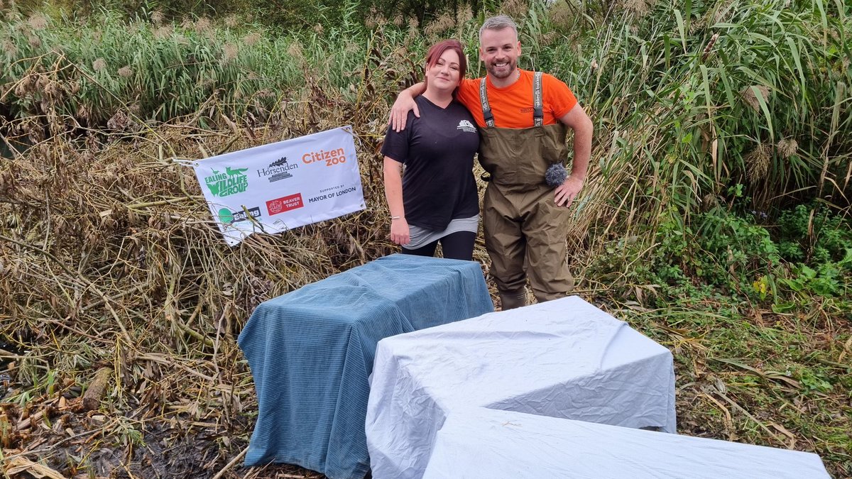 ThatVetSean's tweet photo. Absolutely thrilled w/how our day went at Ealing Beaver Project reintroducing beavers to urban London, amazing atmosphere, an incredible collaborative project by @WildlifeEaling @CitizenZoo @FriHoHi @EalingCouncil supported by our wonderful friends @BeaverTrust &amp; @MayorofLondon https://t.co/EO9K7NJ1Mw