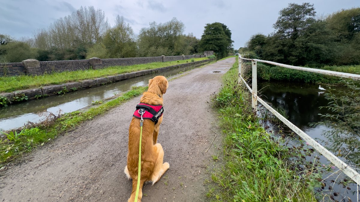 #FazeleyAqueduct on the #CoventryCanal near #Tamworth #RedMoonshine #BoatsThatTweet #LifesBetterByWater #ExploreTheUK #Canals #Rivers #ExploreEngland #KeepCanalsAlive #PuppyPhotos #DogPhotography #PetPhotography @CRTWestMidlands @CanalRiverTrust