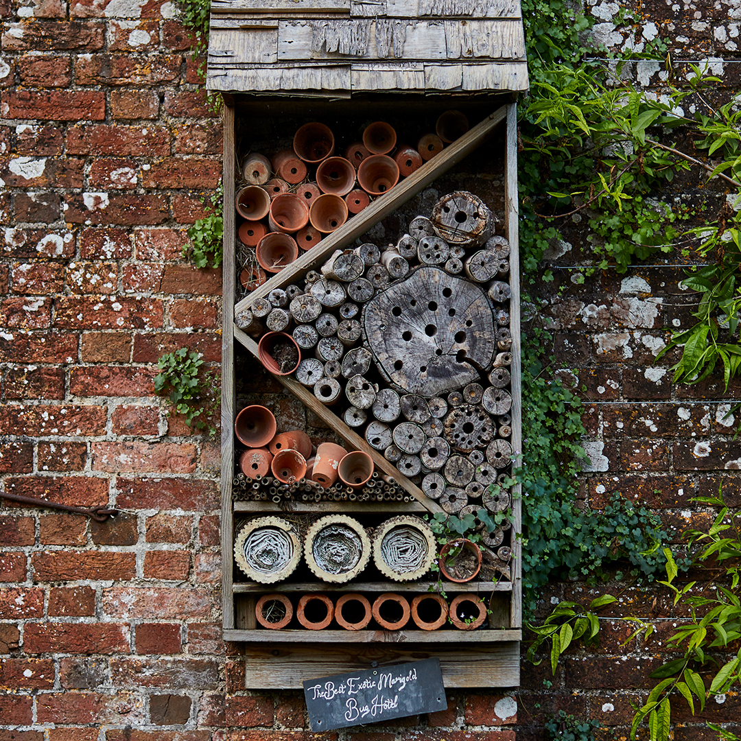 The_Pig_Hotel's tweet photo. Lost in the million details of THE PIG-at Combe, Devon🌿✨

From the recycled plant pots in the 'bug hotel' to the rustic bells in The Georgian Kitchen, every nook and cranny is filled with heaps of piggy charm and character!🌱 https://t.co/RaDya09olP