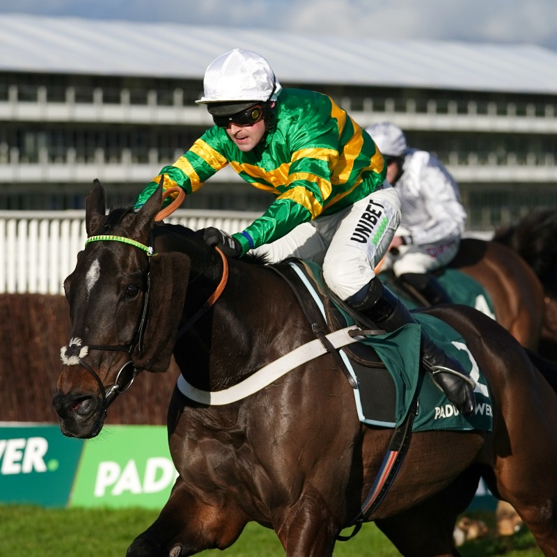 AtTheRaces's tweet photo. "I think we can get him back to the top" - @sevenbarrows is hoping for a big season with Chantry House!