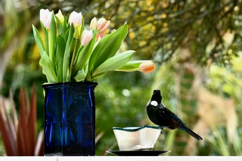 Goina Thedinga tweet media