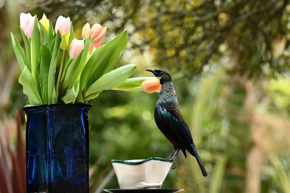 Goina Thedinga tweet media