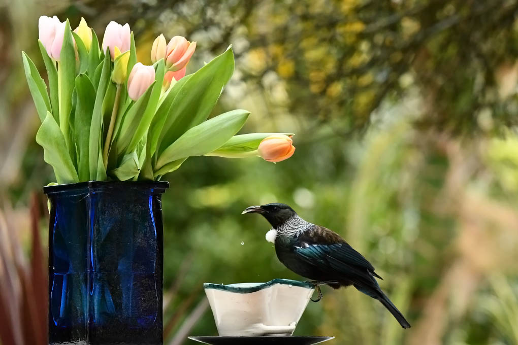 Goina Thedinga tweet media