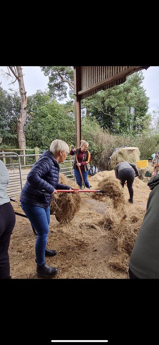 jcbarr24's tweet photo. Antrim CMHT volunteering at Crosskennan Animal Sanctuary.#givingbacktothecommunity#lookingafterourmentalhealth. #NHSCT #teamwork https://t.co/UbC4kF2mKZ