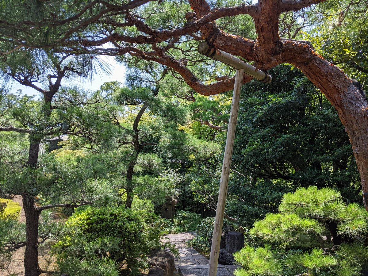 JapanBoston's tweet image. The #Nezu Museum in #Tokyo is a private collection of Japanese and Asian art with artworks including everything from calligraphy to painting, ceramics, and textiles.

#japantravel #japaneseculture #japanesegarden