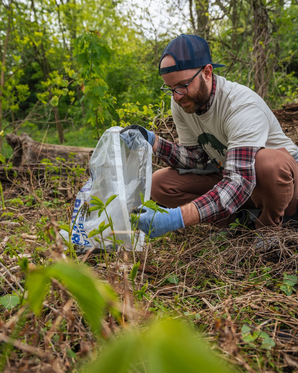 Help us preserve our city's natural treasures 💎  at the Annual Wallet Island and Butterfly Island Tidy Up 🗑️

You can make a meaningful contribution to the health and beauty of our local watershed during this guided clean-up event. 

Sign up 👉 bit.ly/48IwCpF