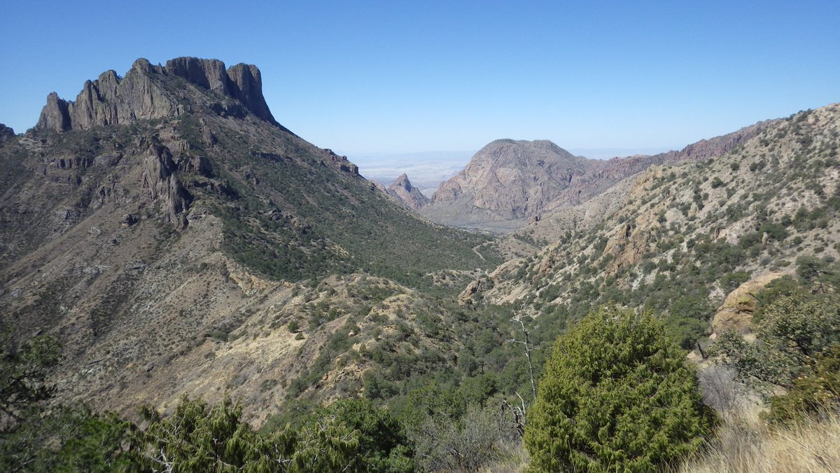 I'm recruiting 3 MSc students to join my lab in Fall 2024/25, supported by an NSF BRC-BIO grant. All projects focus on the evolutionary ecology of insect-plant interactions. Ad is here: hembrylab.com/openings/ I'm very happy to answer informal questions/chat on Zoom in advance.