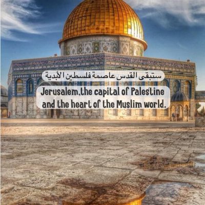 AliErko4's tweet photo. #NeuesProfilbild https://t.co/D8J81I7Wld