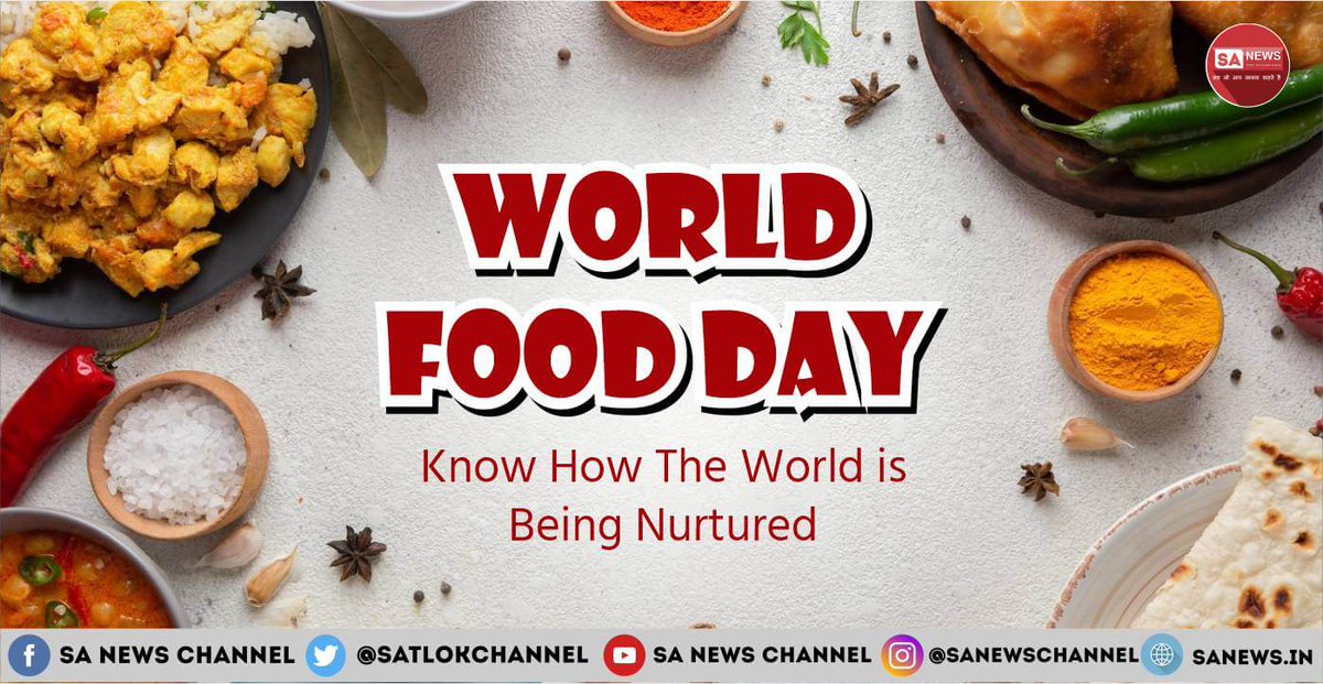 On World Food Day, let's unite to fight hunger!
In a world where millions go to bed hungry, we must come together to make a difference. The theme of this year's World Food Day is "Water is Life, Water is Food. Leave No One Behind," emphasizing the importance of ensuring everyone