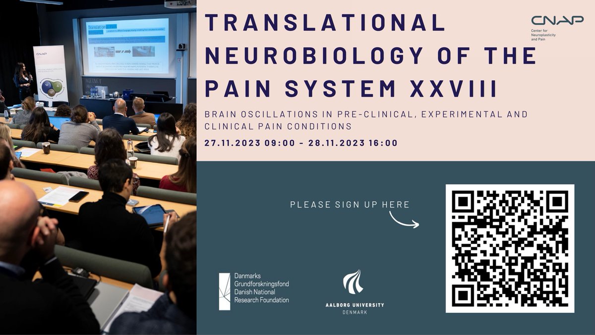 The temporal coding of neuronal activity in acute and chronic pain is not fully understood but likely involves brain oscillations. This year the <a href="/CNAP_AAU/">CNAP-AAU</a> TRANSLATIONAL NEUROBIOLOGY OF THE PAIN SYSTEM seminar will focus on brain oscillations in pain conditions. 👇 PLEASE RP.