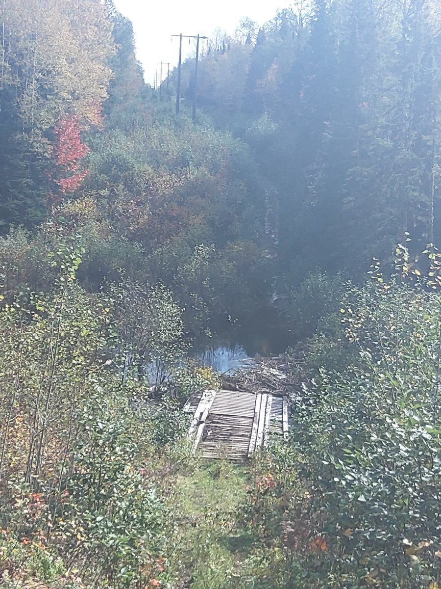KirkWalsh1's tweet photo. Beavers have the entire #TroutBrook dammed up at the snowmobile crossing. #NBFSC. https://t.co/gvfwnF5YyT