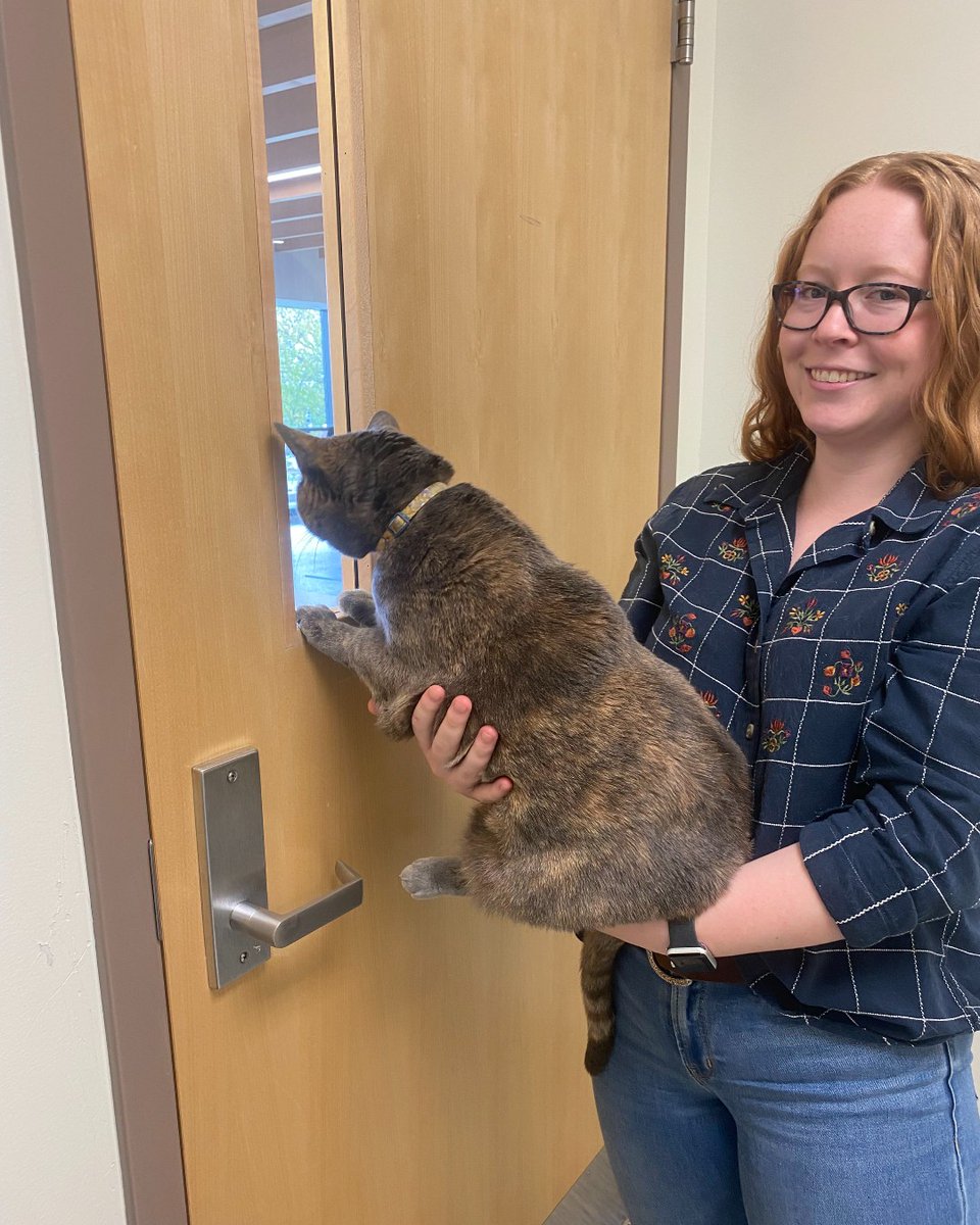 OSUVetCollege's tweet photo. #NationalPetObesityAwarenessDay We are recruiting obese but otherwise healthy cats to participate in a study examining how fecal microbiota transplant (βpoop pillsβ) impacts weight loss.
π
π§ Email chirp-slim-cvm@osu.edu.
Thanks #MorrisAnimalFoundation @Morris_Animal https://t.co/Rjh09seVxr