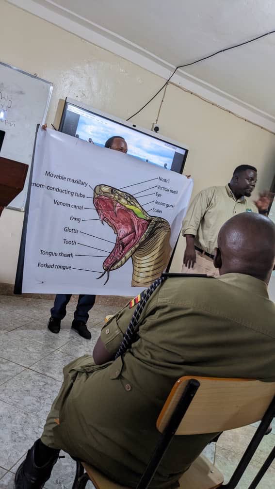 mukasaEmmanuel9's tweet photo. In conservation education and most especially while training snakebite management the use of visual images creates a lasting impression in the trainees mind. 
@DumaicUG @GlobalSnakebite @HAImedicines @NamulwanaHildaV https://t.co/IL7Qm61mgp