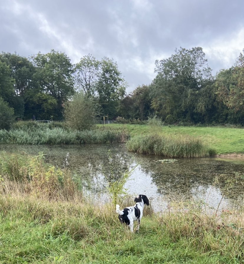 Early morning walk to get ready for the day - what could possibly go wrong?