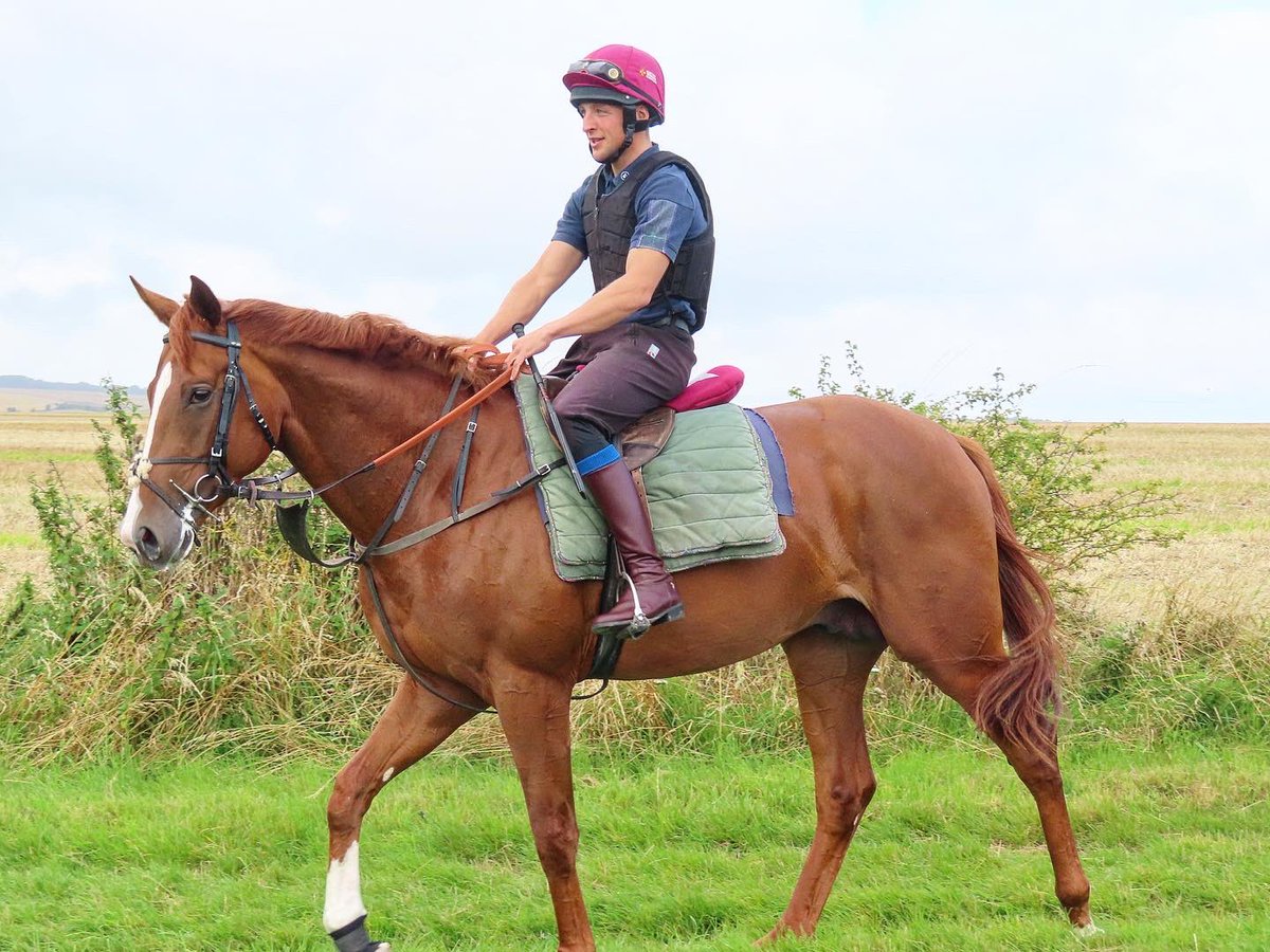 Summerdown1997's tweet photo. SURREY FIRE (Masar x Sweet Selection) is set to make his debut in the 3.12 from @NottsRacecourse this afternoon!

Hopefully he can go well for connections @SurreyRacing! 🔵🟡

@jasonhart13 is in the saddle! 💪🏼

#SummerdownStables
#SurreyFire https://t.co/HziUzadWl8