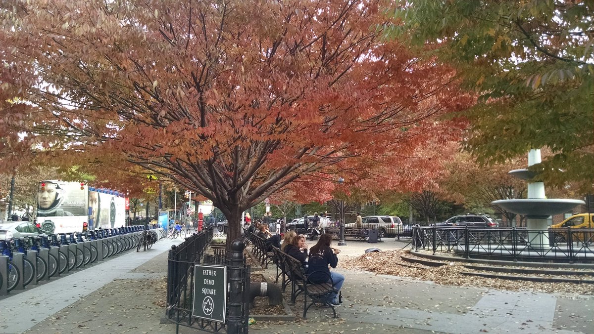 watergatesummer's tweet photo. #Fall2015 I remember this photo like yesterday....it was such a beautiful day...you could hear & smell the leaves....I treasure fall....๐๐๐๐๐ https://t.co/TxayEggpox