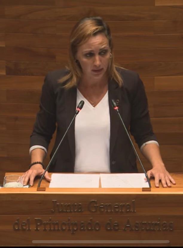 IUgrupoJGPA's tweet image. El Parlamento de Asturias aprueba nuestra iniciativa para exigir que #HUNOSA incorpore en su plantilla al personal de subcontratas. @Delcais defiende una PNL que cumple un compromiso electoral para poner fin a una precarización del empleo inadmisible en una empresa pública.