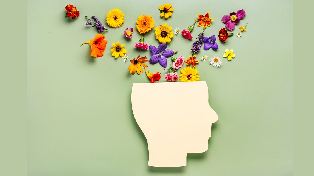 How do you help your students make positive choices for their mental and emotional health? Explore topics in mental health for all grades, from stress, trauma, and the brain to developing empathy and resilience. (Grades: PreK-12) to.pbs.org/3QFS9Fa