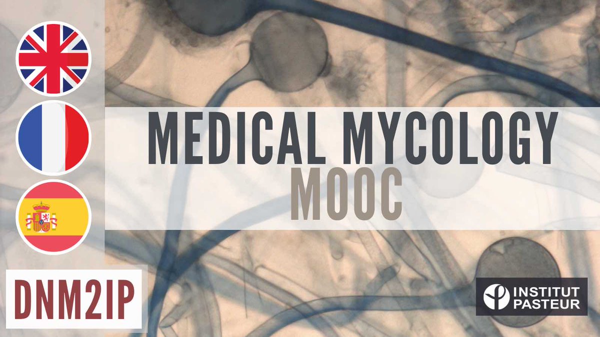 Explore the fascinating world of fungi, agents of major infectious diseases? Join our MOOC about Medical Mycology on FUN ! Sign up now: bit.ly/medical-mycolo… @funMooc @institutpasteur @WHO @BritSocMedMyc @DrArturoInfecto @MycologyRefManc @MedMycol @JoF_MDPI @a_alanio