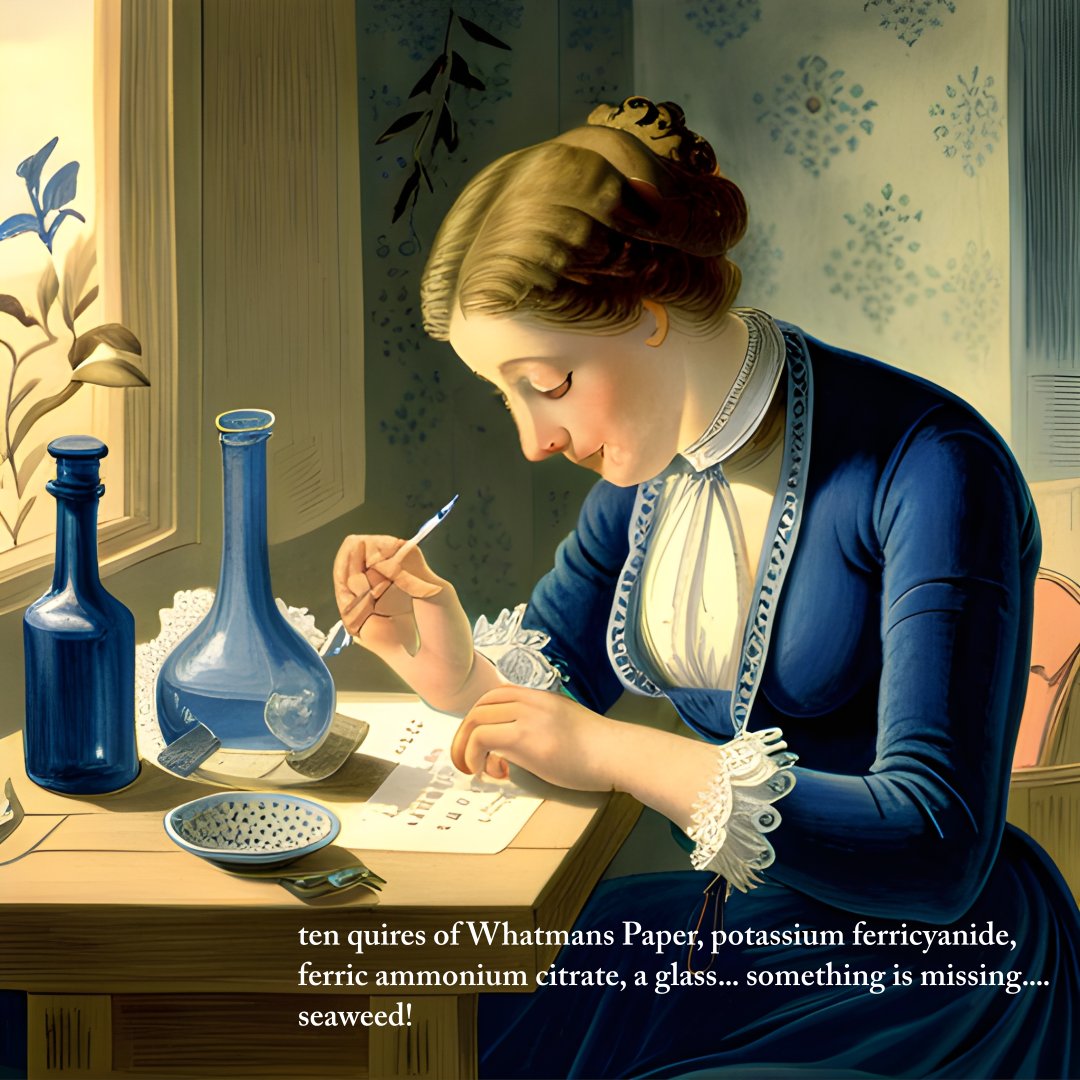 ten quires of Whatmans Paper, potassium ferricyanide, ferric ammonium citrate, a glass... something is missing...
seaweed!

#PhotoBookDay #PhotoBookDay2023 #WorldPhotoBookDay #WorldPhotoBookDay2023