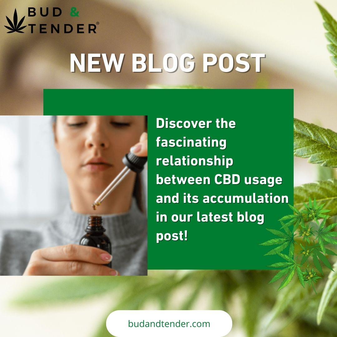 budandtender's tweet image. 🌿💼 Discover the fascinating relationship between CBD usage and its accumulation in our latest blog post! 📚 

Link 👉budandtender.com/blog/how-long-…

#CBD #CBDEducation #CBDUsage #CBDScience #BlogPost