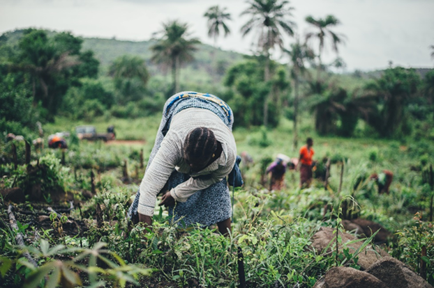 🎓A new interdisciplinary #PhD opportunity is available working alongside @uniofeastanglia researchers to build a knowledge sharing #platform enabling climate resilience for farmers in Sub-Saharan Africa. 🎓⏳ ➡️See link in the ClimateUEA bio for more info & how to apply.