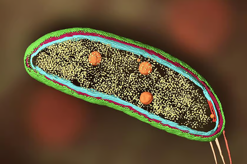 newatlas.com/science/combin… #CELLSCIENCE #CELLBIOLOGY VISIT : longdom.org/cell-science-t…