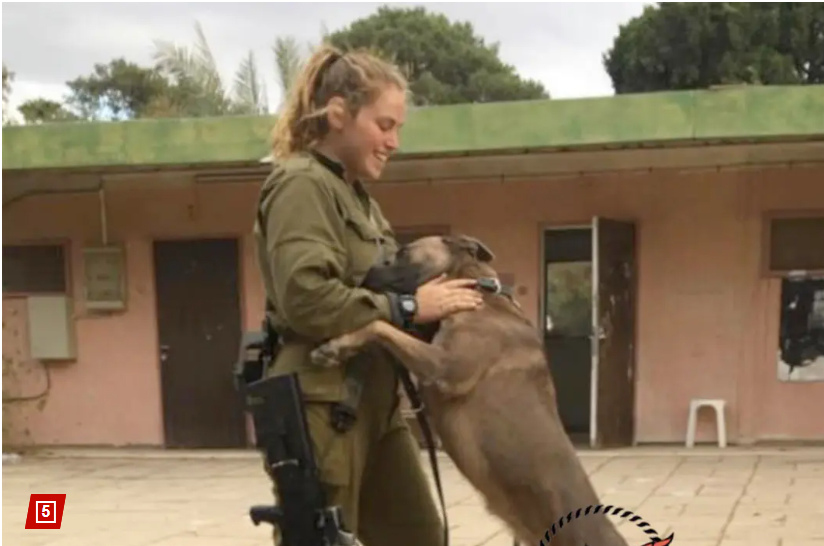 thehawkeyex's tweet photo. She is 25yo security coordinator of Kibbutz Nir Am (next to Gaza strip) - Inbar Lieberman.

She & her 12member security team hold the Hamas trrst entering the village for almost 4hrs in a fierce gun battel, kiIIing 20+ of trrsts, until IDF reached the spot. Lieberman herself scored 5.

When Lieberman heard the sound of explosions which was different than usual rocket attacks, she analyzed the coming danger, charged the situation, quickly distributed the arms to her team members and plot the tactical ambush. As per media reports, her brave efforts saved the entire village.

Lieberman is hailed as Israel's national hero!
