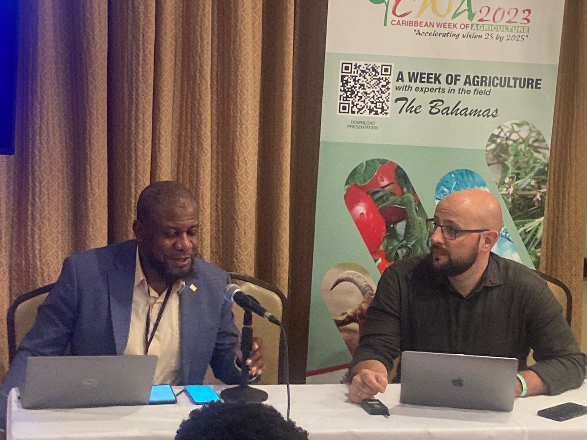 FAO in the Caribbean tweet media