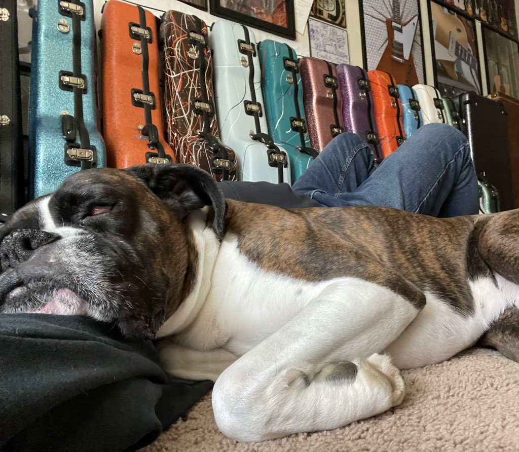 Best nap buddy ever!  <a href="/CasesCalton/">CaltonCases</a>