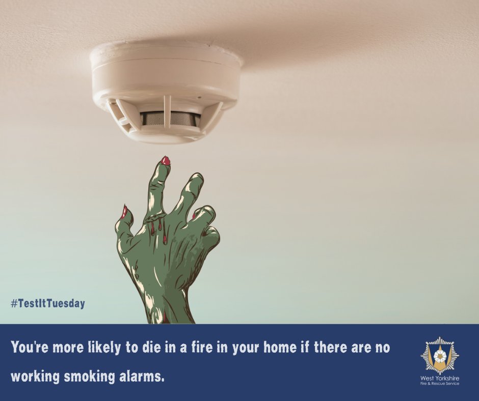 #TestItTuesday, but make it spooky!🧟